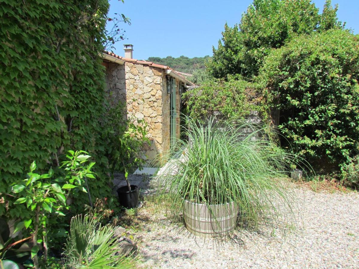 Chambre D'Hotes Des Oliviers La Roque-sur-Cèze Екстериор снимка